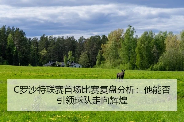 luo-sha-te-lian-sai-shou-chang-bi-sai-fu-pan-fen-xi-ta-neng-fou-yin-ling-qiu-dui-zou-xiang-hui-huang-2-173.jpg